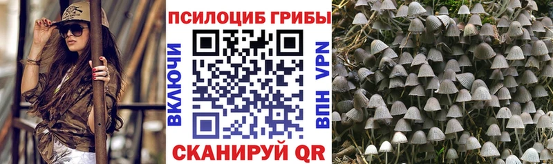Купить Куйбышев Галлюциногенные грибы мухоморы